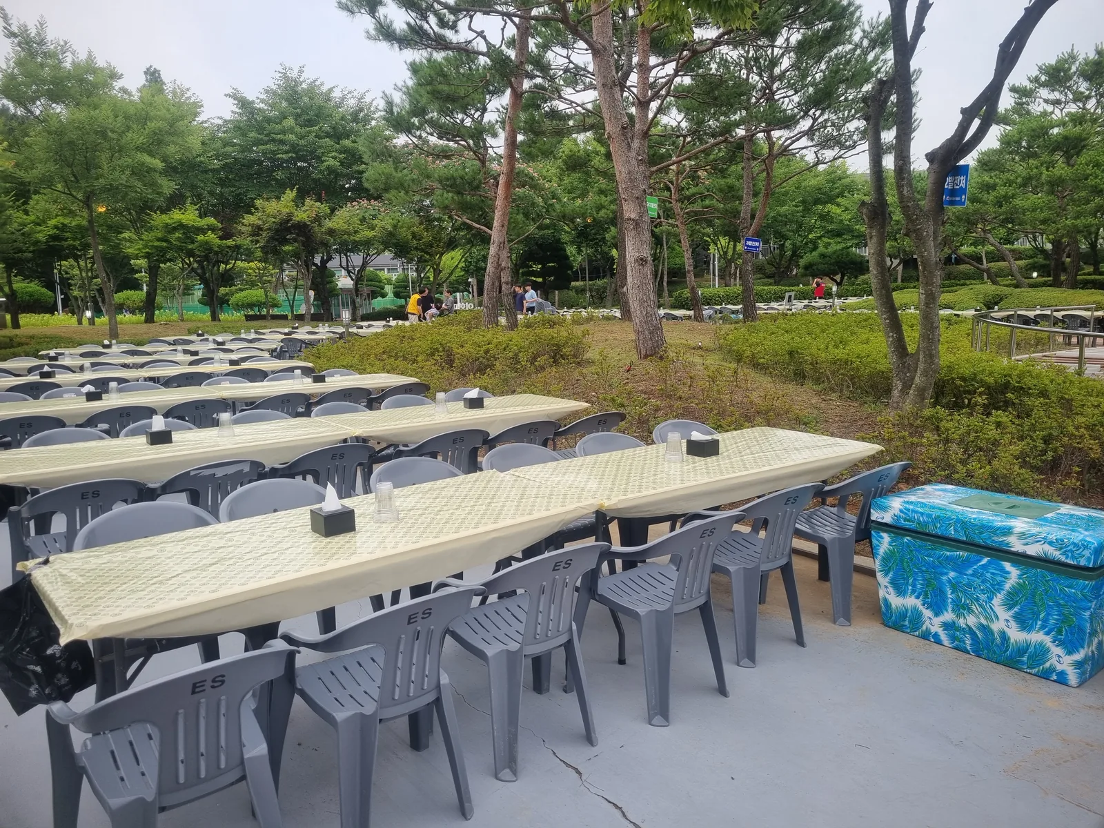 진천 공원 기업행사 — 접이식 테이블과 의자를 통로 방향으로 배치