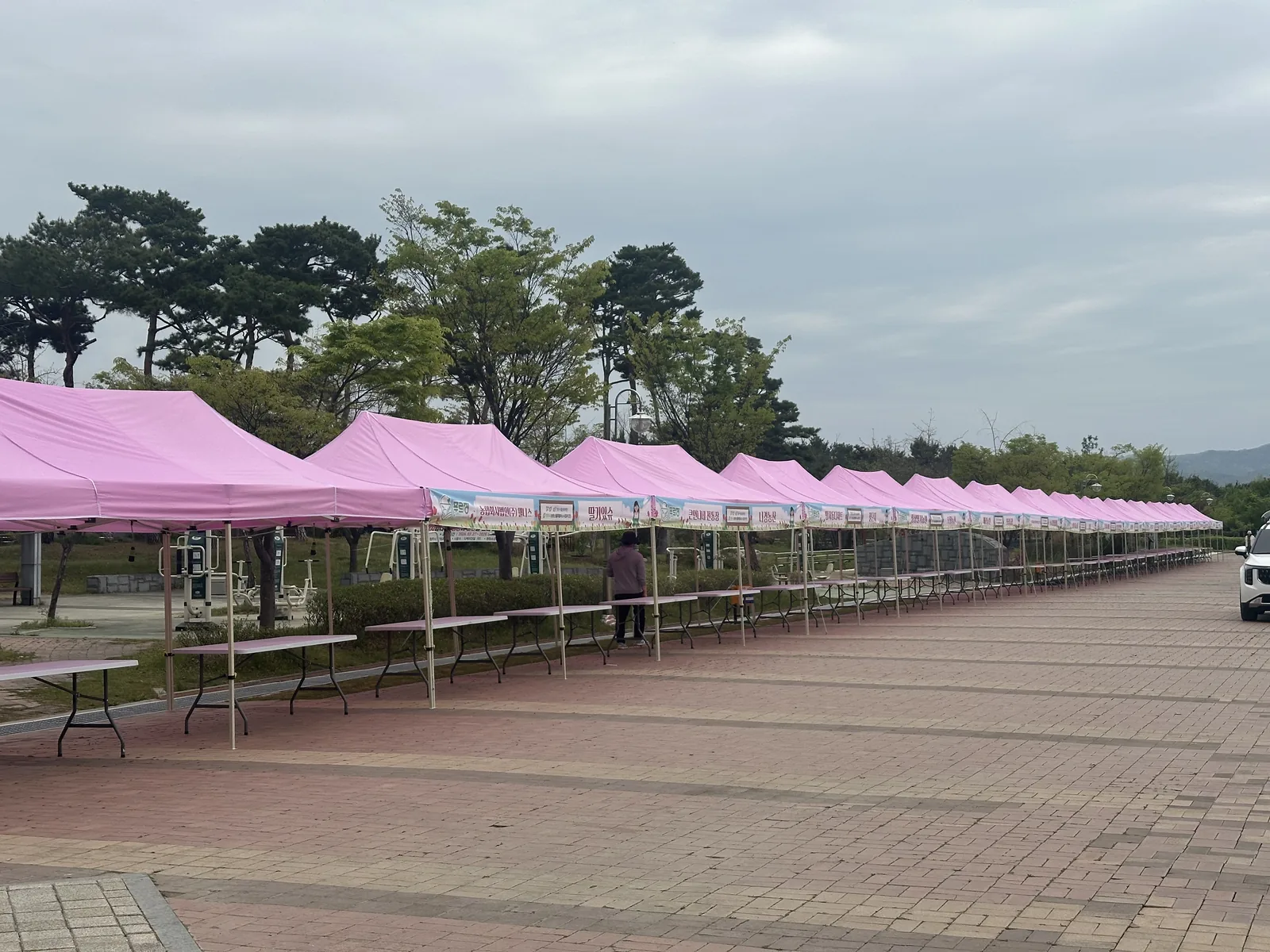 단양 야외 플리마켓 — 산책로를 따라 핑크 캐노피 천막을 한 줄로